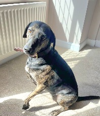 Kali